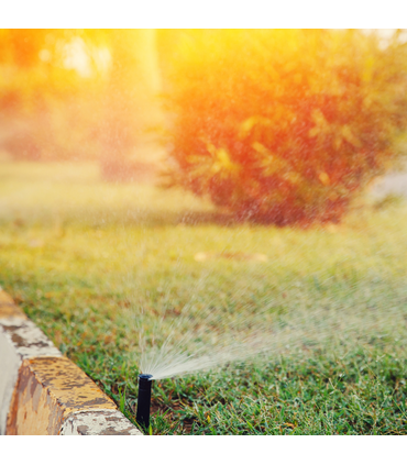 IRRIGATORE STATICO POP UP RAIN S020 ALZO 5 cm PRESTAZIONI A15 - PER PRATO E GIARDINO COMPLETO DI TESTINA