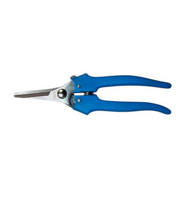 Forbice cogliuva inox grande stretta Daprile cm 19