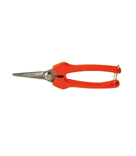 Forbici cogliuva Star Daprile