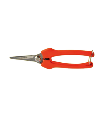 Forbici cogliuva Star Daprile