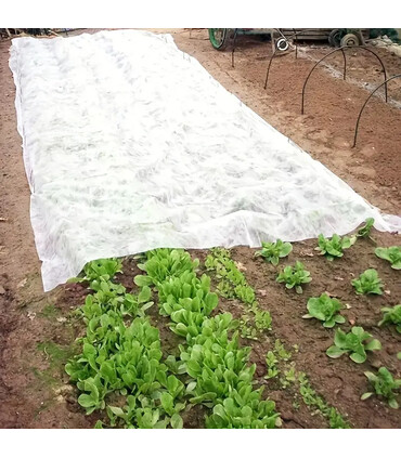 Tessuto non tessuto Tnt 30 gr Larg. 1,6 m x 250 m Antigelo Piante