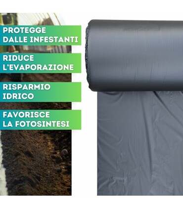 Telo pacciamatura biodegradabile forato ogni 60 cm largh. 100 cm