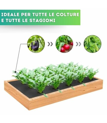 Telo pacciamatura biodegradabile forato ogni 60 cm largh. 100 cm