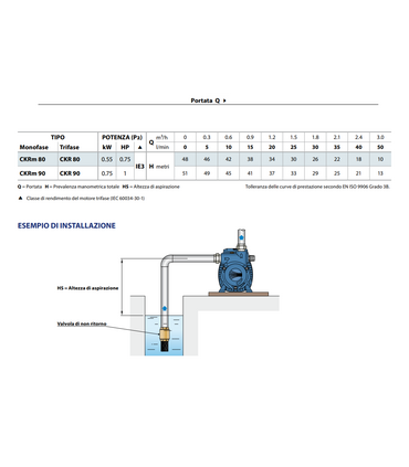 ELETTROPOMPA AUTOADESCANTE PEDROLLO CKR 90 1 HP V380 TRIFASE AD ANELLO LIQUIDO