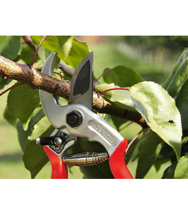 Forbice Professionale per potatura Ergonomic Castellari
