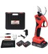 FORBICE DA POTATURA A BATTERIA EASYCUT PRO 40 STARS CON VALIGETTA + 2 BATTERIE A LITIO