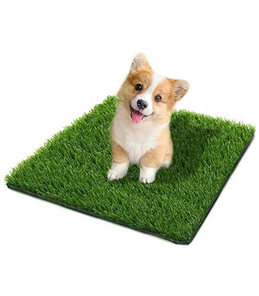 PRATO ERBA TAPPETO PET PER CANI
