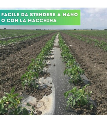 Telo nero per pacciamatura forato ogni 40 cm largh. 100 cm