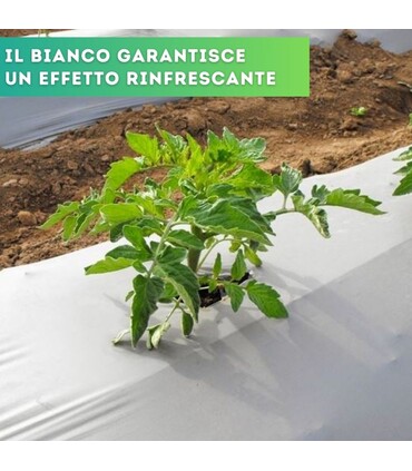 Telo bianco nero per pacciamatura non forato largh. 100 cm
