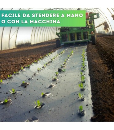 Telo pacciamatura biodegradabile con fori sfalsati 40x40 largh. 100 cm