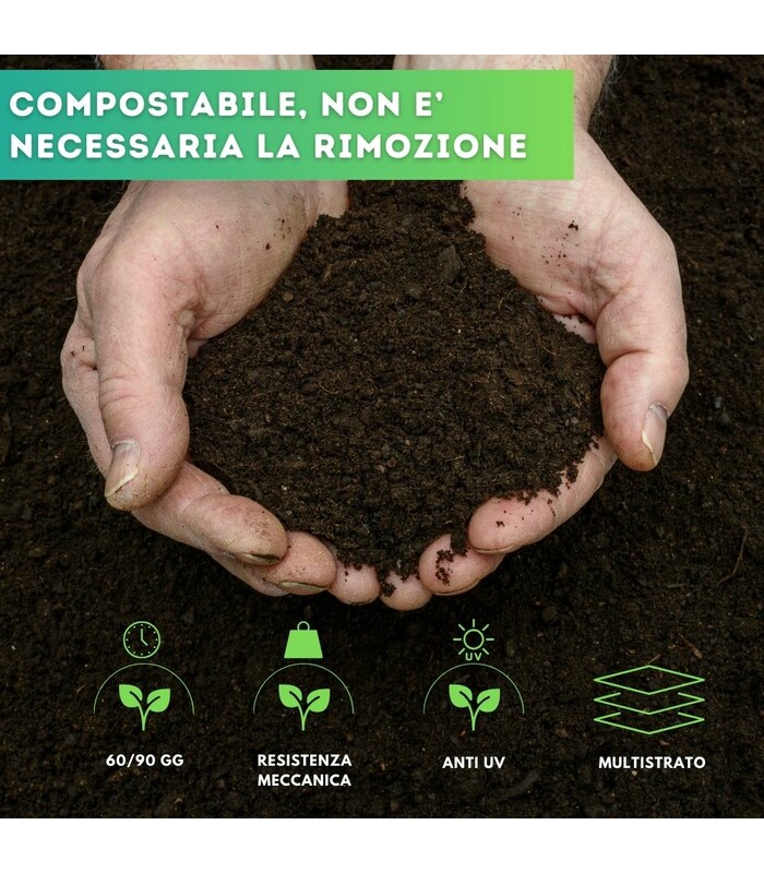 Tessuto Pacciamatura Per Erbacce 30m X 1,65m – Film Protettivo 80g/m² Con Picchetti, Resistente Ai Raggi UV