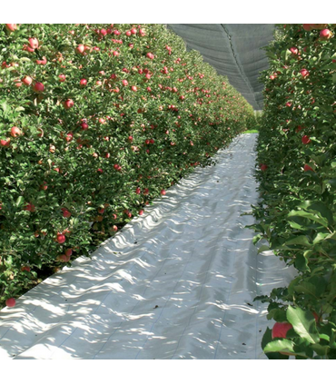 Telo Rete Pacciamatura Bianco Larg. 105 cm | 100 gr/mq