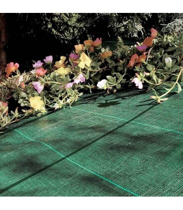 Telo Rete Pacciamatura Verde Larg. 210 cm I 105 gr/mq