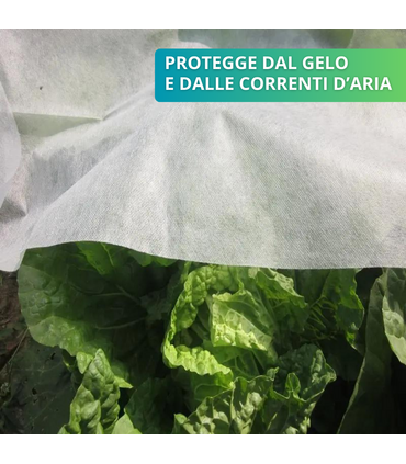 Telo Cappuccio Termoclima TNT 17 gr/mq Larg. 1,6 m x 2 m antigelo piante