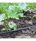 Kit Irrigazione a goccia automatico 100 mq con centralina Connect DC Battery + Elettrovalvola 9V