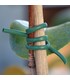 Laccio per piante Tubetto Extra Verde legaccio 5mm