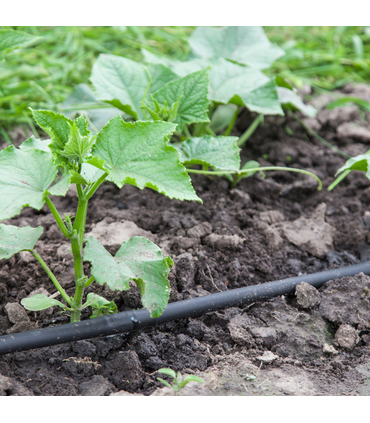 Kit Irrigazione a goccia con Amico+ per Orto Giardino 50 mq Ala Gocciolante con Filtro