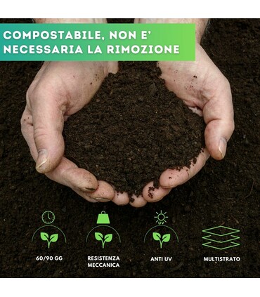 Telo pacciamatura biodegradabile forato ogni 80 cm largh. 100 cm