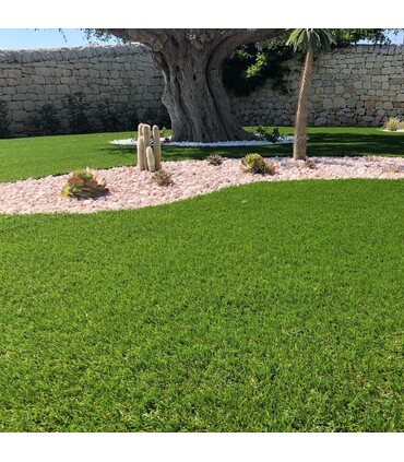 PRATO SINTETICO Manto Erboso Erba GIARDINO TAPPETO 50 MM Misura 1 metro x 10 metri