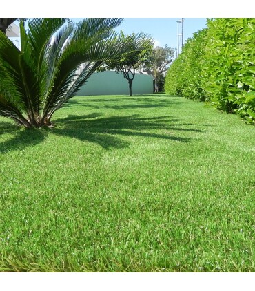 PRATO SINTETICO Manto Erboso Erba GIARDINO TAPPETO 20 MM Misura 2 metri x 5 metri