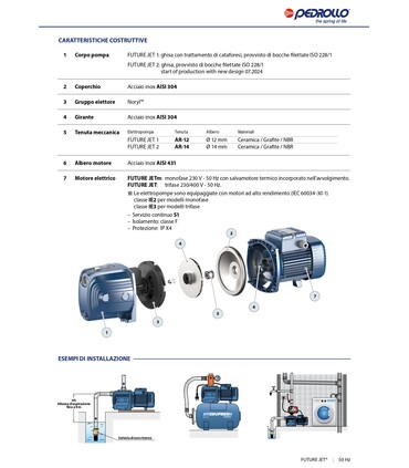 ELETTROPOMPA PEDROLLO FUTURE JETm 2AX HP 1,25 MONOFASE V220 AUTOCLAVE AUTOADESCANTE CON GIRANTE IN NORYL