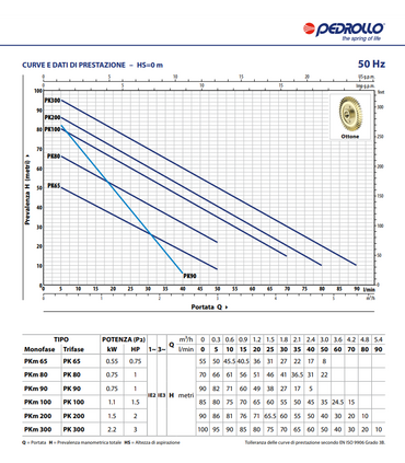 ELETTROPOMPA PEDROLLO PK 90 HP 1 - V380 TRIFASE AUTOCLAVE PERIFERICA