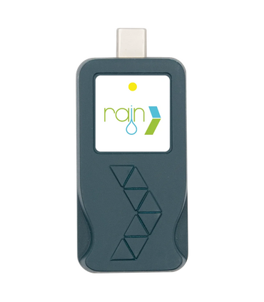 Mini Nuvola Indoor Rain WiFi Vision per Centralina Pure Vision