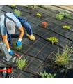 Ala Gocciolante Autocompensante Rigida Lunghezza 100 m Passo 20 Passo 30 cm diametro 16mm per Irrigazione a Goccia