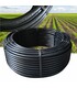 Ala Gocciolante Autocompensante Rigida Lunghezza 100 m Passo 20 Passo 30 cm diametro 16mm per Irrigazione a Goccia