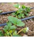 Kit Irrigazione a Goccia Fast 100 mq ø 16 mm con Valvole a Innesto Manichetta Ala Leggera