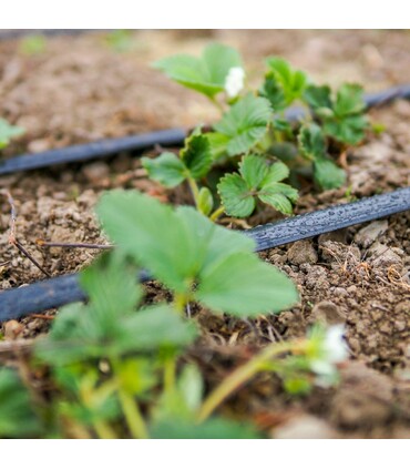 Kit di Irrigazione a Goccia Orto 100 mt Manichetta ala gocciolante leggera 2 l/h passo 20 cm + 20 mt Tubo PN6 diam. 20mm