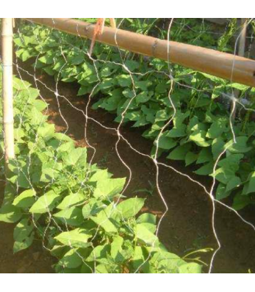 Rete rampicanti per piante 2 metri x 10 metri
