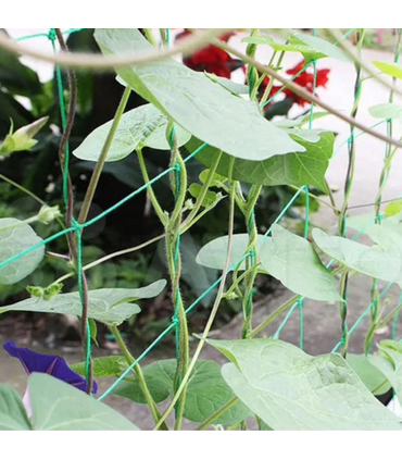 Rete rampicanti per piante 1,5 metri x 10 metri