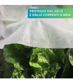 Tessuto non tessuto Tnt 17 gr Larg. 4 m x 250 m Antigelo Piante