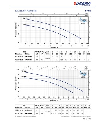 Elettropompa Sommergibile VXCm 220V Monofase in Ghisa per Acque Luride