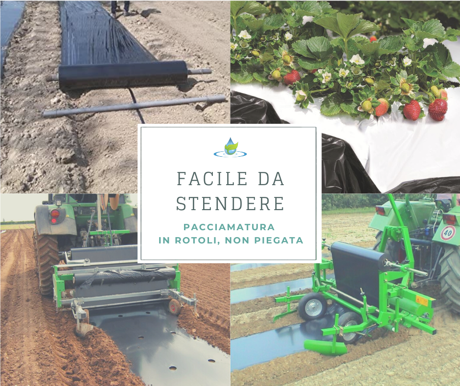 TELO BIO FILM PACCIAMATURA BIODEGRADABILE BOBINA DA 1000 M NON FORATO LARG. 1 METRO PER ORTO E GIARDINO 6 width=734